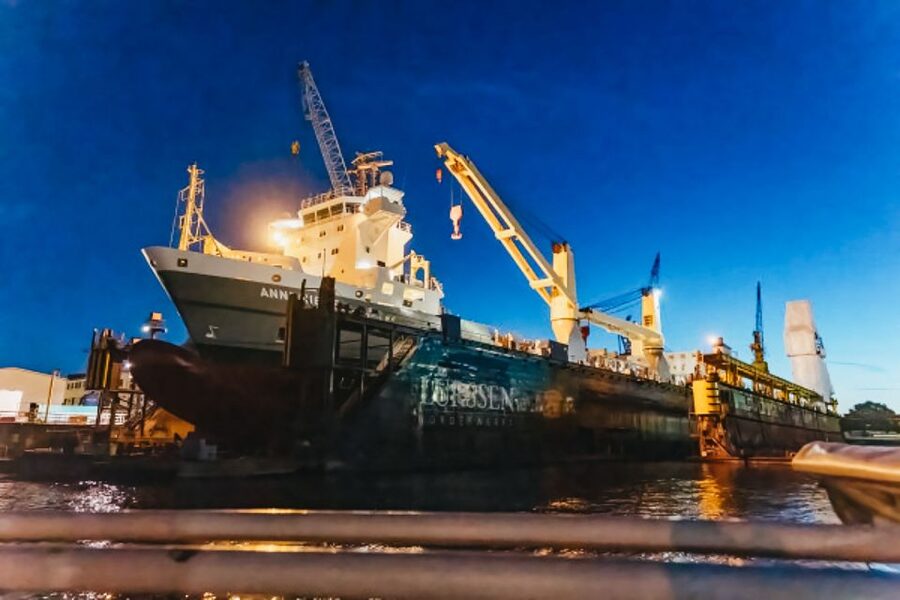 Hamburg: 1.5h Grand Harbor Evening Lights Cruise - Who should book this cruise, and who should skip it