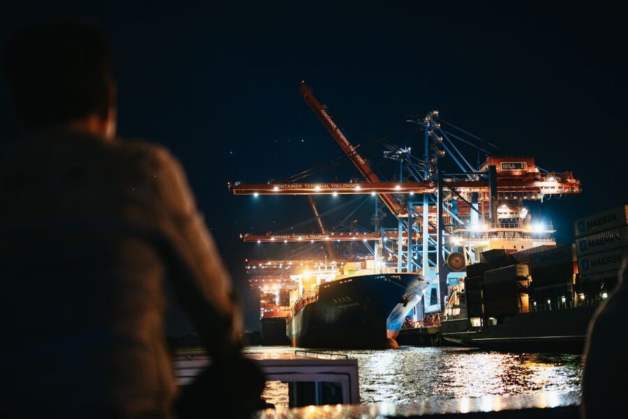 Hamburg: 1-Hour Harbor Evening Lights Cruise - The working harbor moment: cranes, container terminals, and ocean liners
