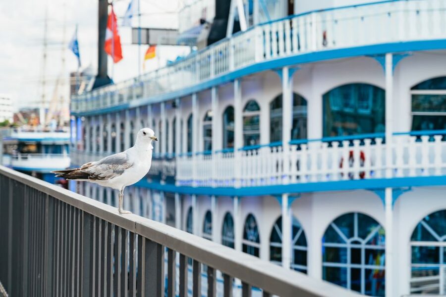 Hamburg: 1-Hour Harbor Sightseeing Cruise with HafenCity - Key things I’d clock before you board