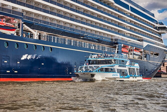Hamburg: 2-hour harbor cruise - Elbe beach and the cruise-ship dock rhythm