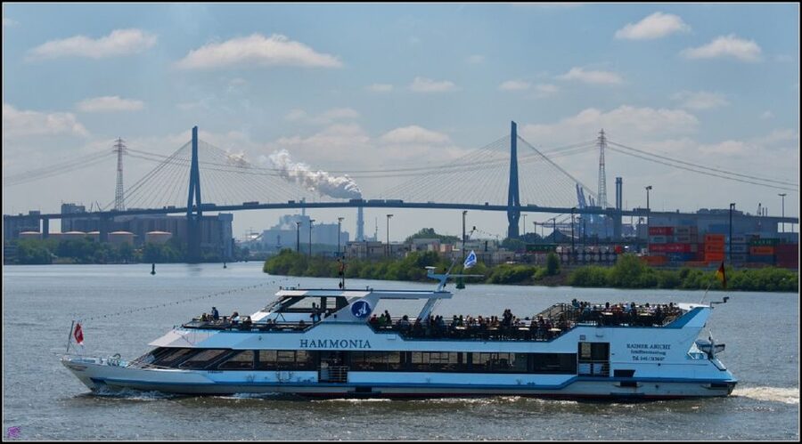 Hamburg: 2-Hour Sightseeing Cruise to Blankenese - Parkhafen, Waltershofer Hafen, and the working harbor reality
