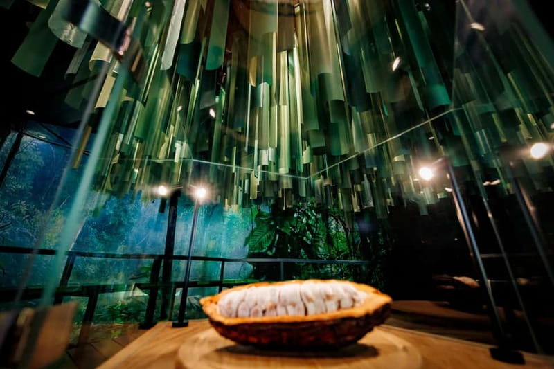 Hamburg: Chocoversum Guided Tour with Tastings - The tasting lineup: how it changes from stage to stage