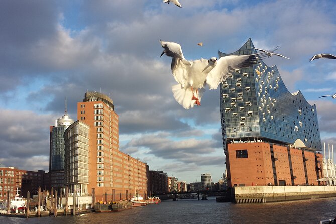 hamburg Experienced differently with wish rental bike relaxed enjoy - A private bike tour that feels like Hamburg homework, minus the boring parts