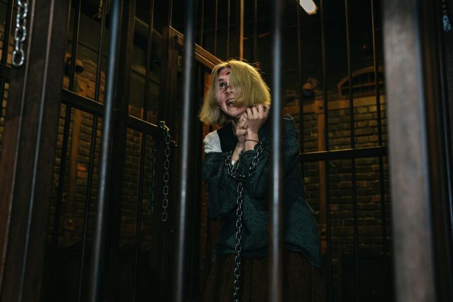 Hamburg: Hamburg Dungeon Admission Ticket - What to know before you go (no pets, no big bags)
