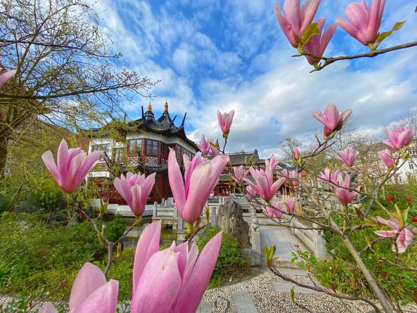 Radtour um die Alster & durch traumhafte Alsterviertel - Harvestehude and Winterhude: Parks, Bridges, and White-Villa Charm